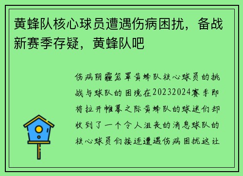 黄蜂队核心球员遭遇伤病困扰,备战新赛季存疑,黄蜂队吧